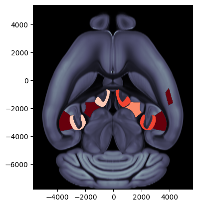 ../_images/notebooks_external_atlas_plotting_scalar_on_slice_19_0.png